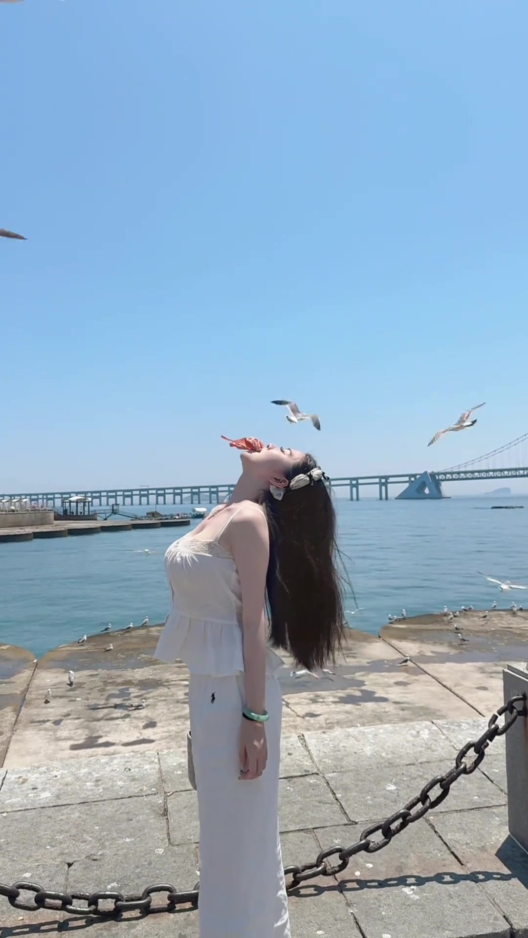 这么大块的肉，你是觉得海鸥能叼得动！