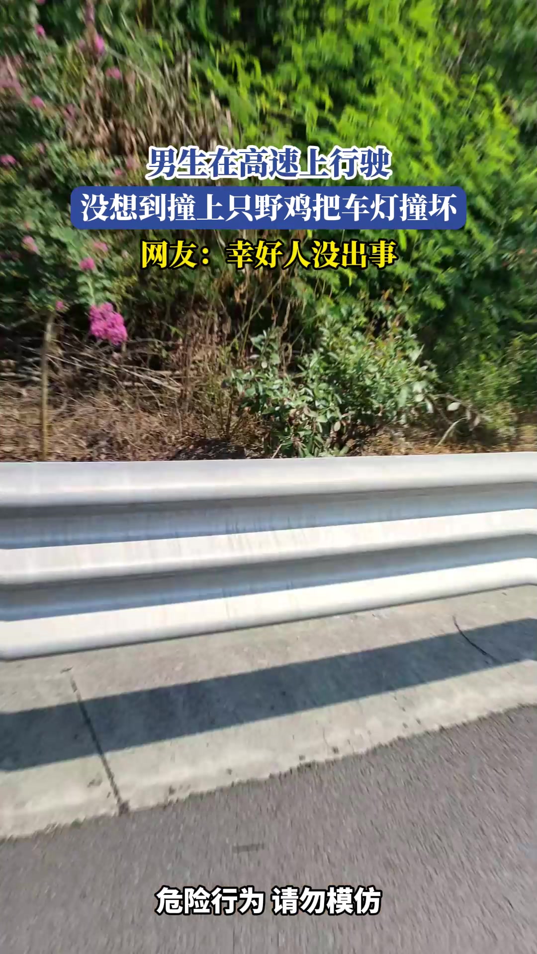 男生在高速上行驶,没想到撞上只野鸡把车灯撞坏！！