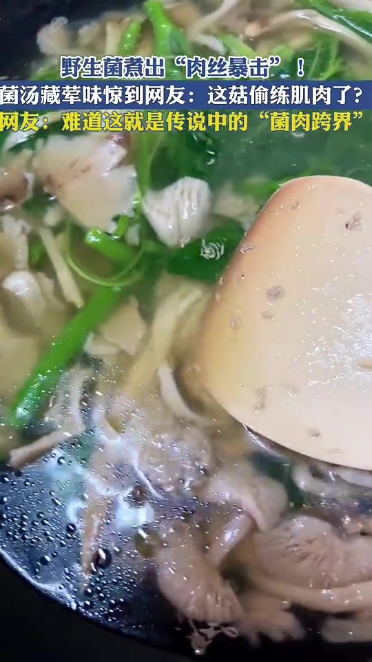 野生菌汤有荤味！
