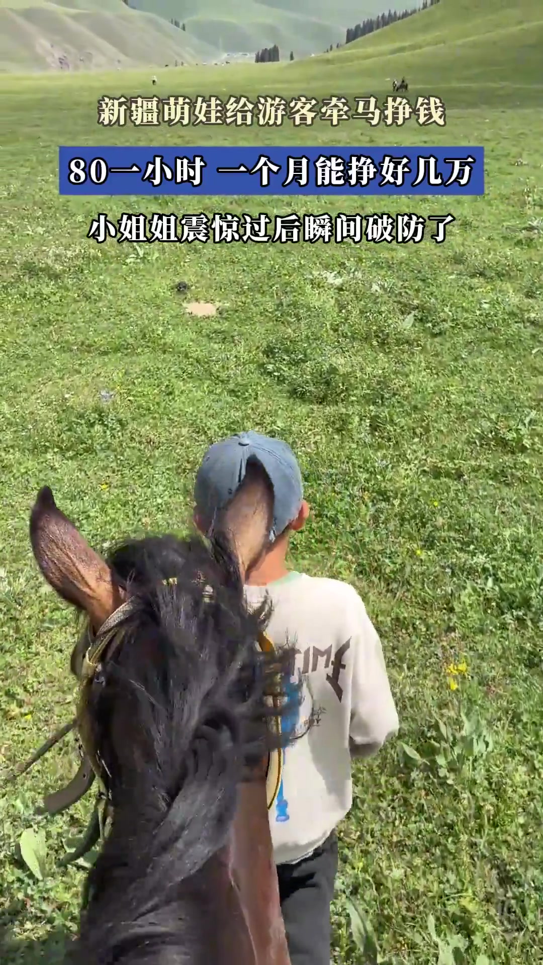 新疆萌娃牵马挣钱！80元小时月入几万