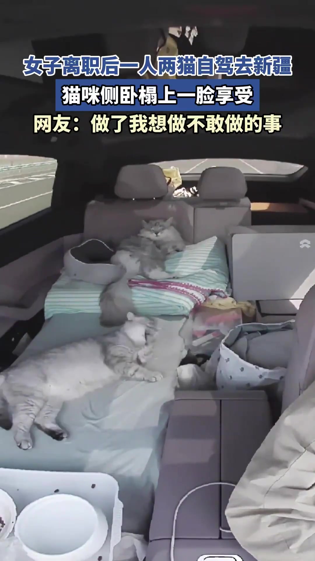 女子带两猫自驾新疆！寻得宁静角落