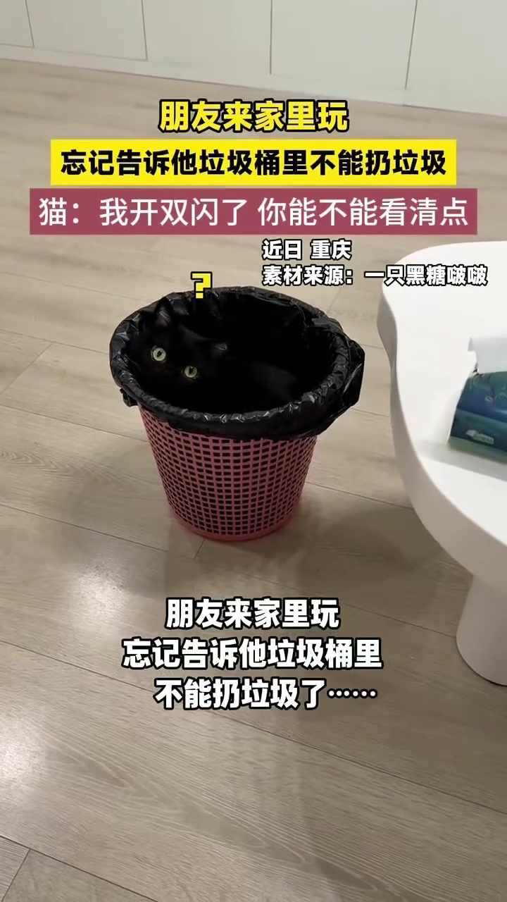猫：我开双闪了，你能不能看清点