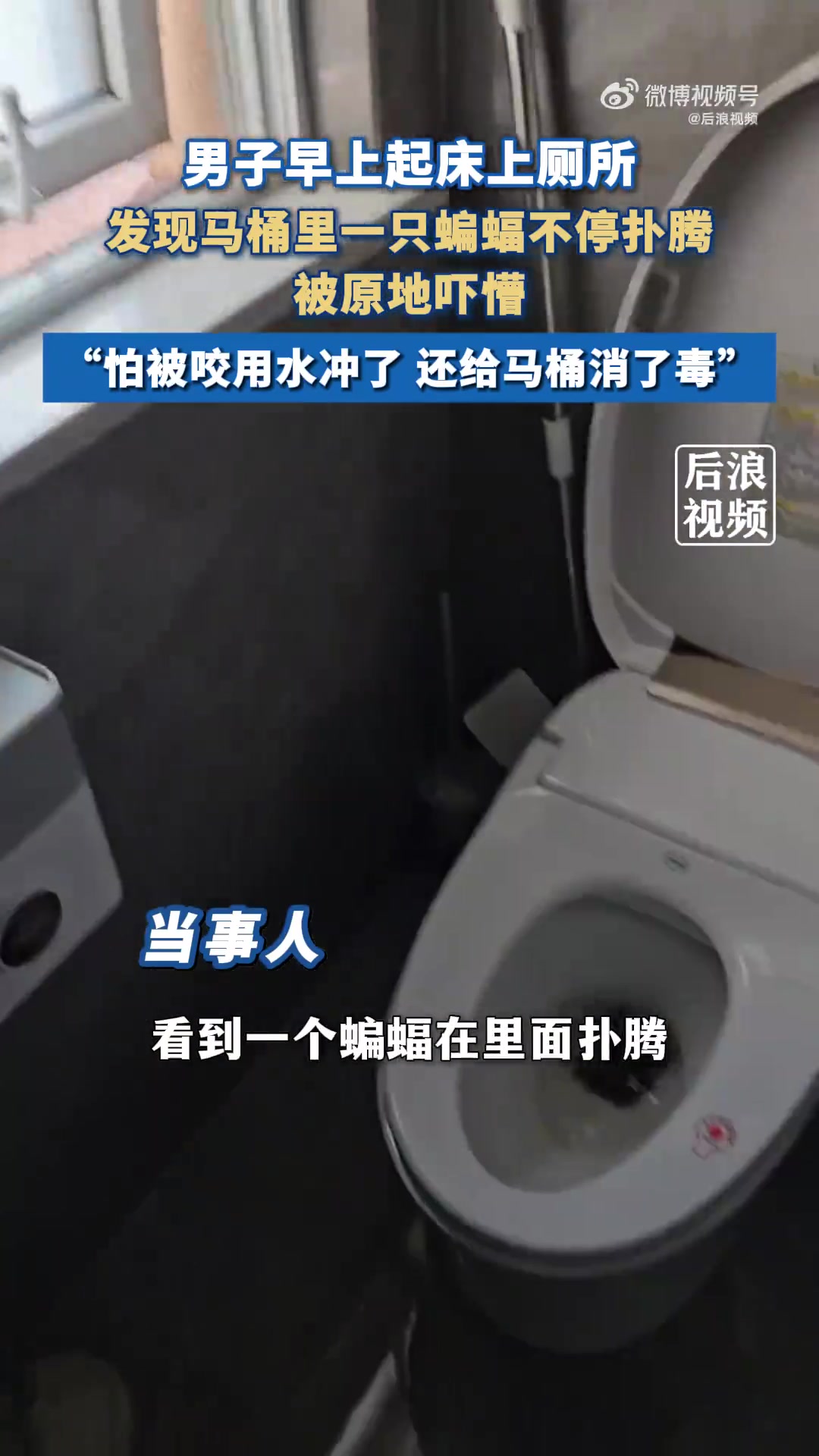 男子厕所发现蝙蝠扑腾！冲走后消毒