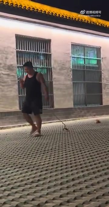 主人遛狗看手机看得太投入，“被迫自由”的小狗努力追