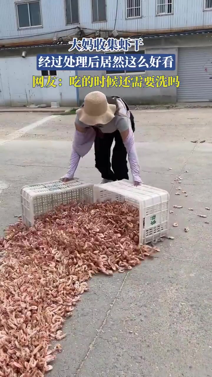 大妈处理虾干颜值高网友问吃前需洗吗