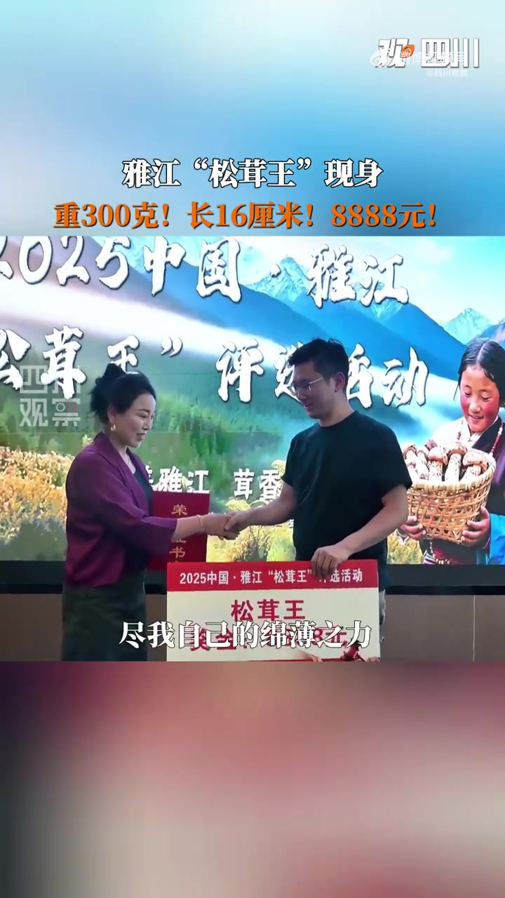 雅江300克松茸王以8888元成交