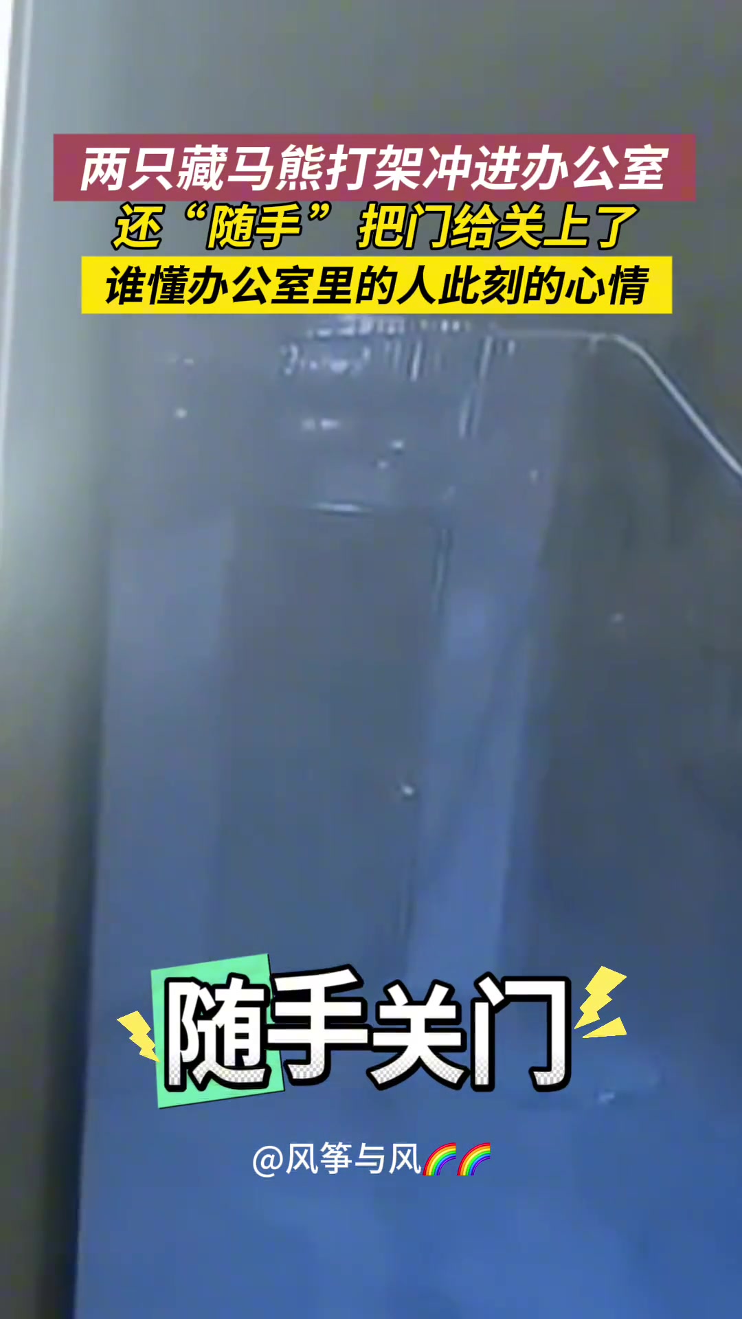 野生藏马熊冲进办公室，还“随手”把门关上了！
