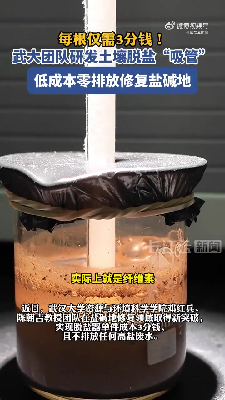 武大研发纸基脱盐器盐碱地零废水治理