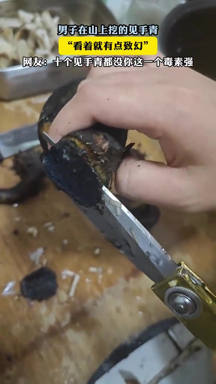 男子挖见手青网友：毒素超强
