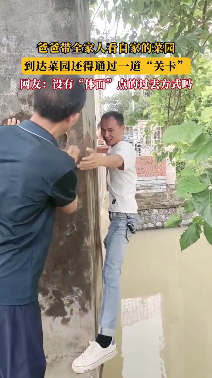爸爸带家人看菜园需过一道“关卡”