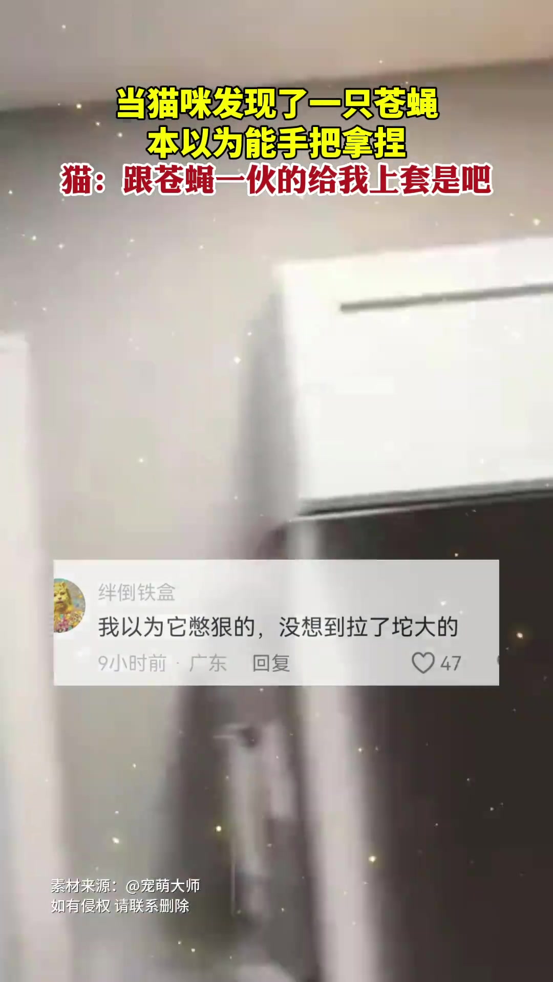 貓：跟蒼蠅一伙的給我上套是吧！