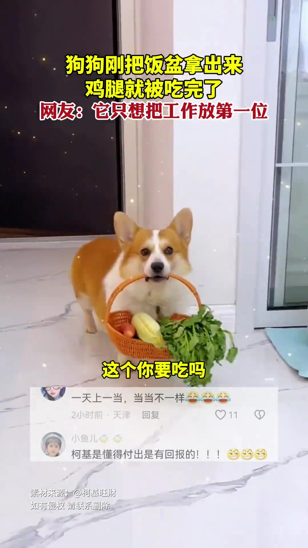 網(wǎng)友：它只想把工作放第一位