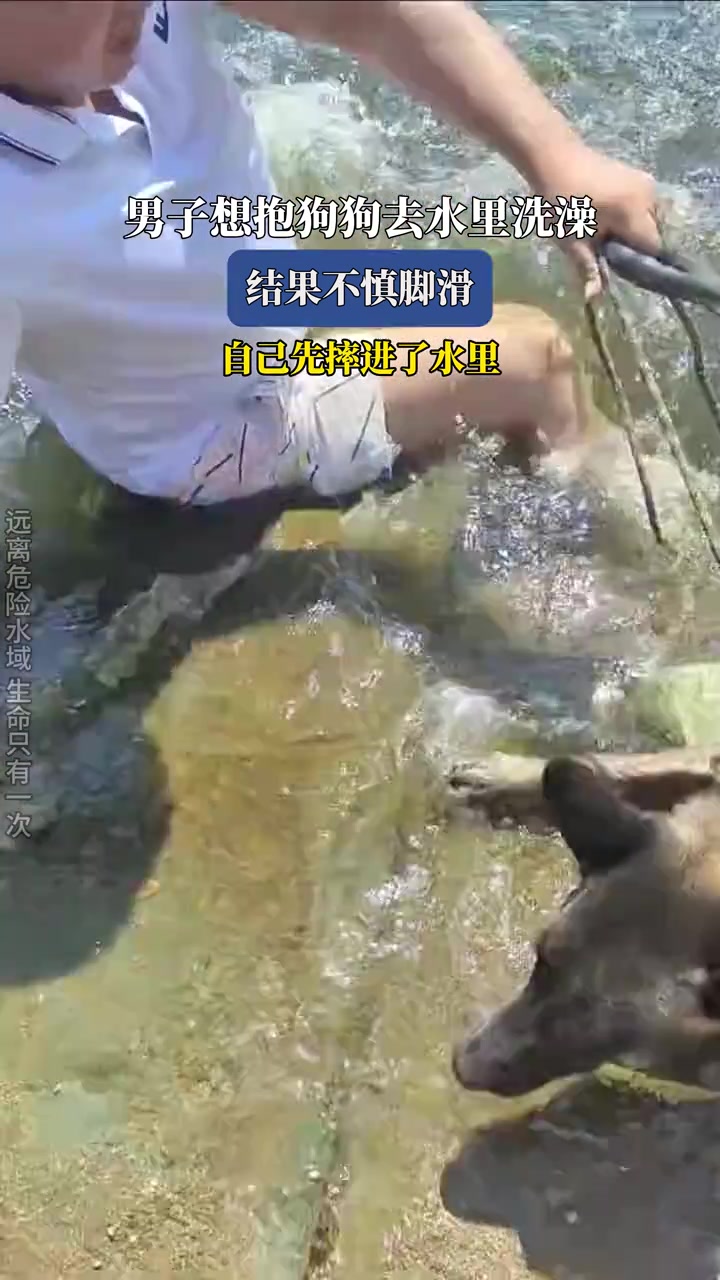 男子想抱狗狗去水里洗澡，结果不慎脚滑，自己先摔进了水里