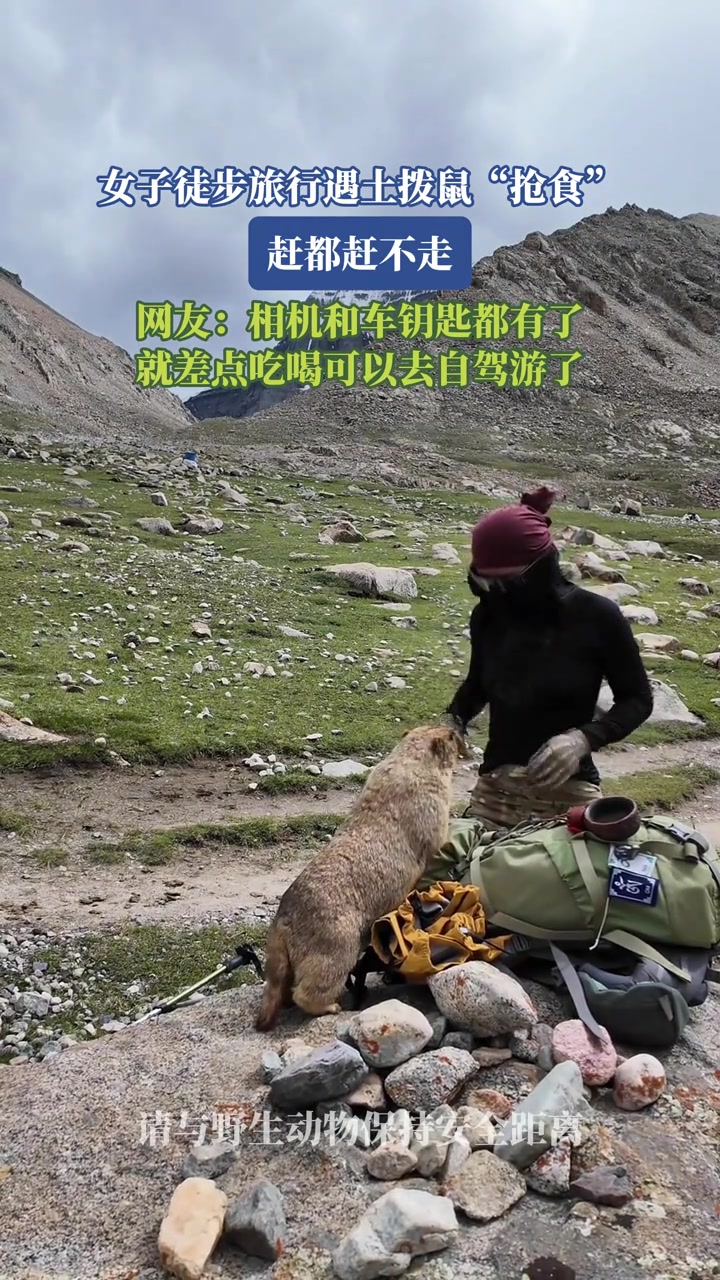 网友：相机和车钥匙都有了，就差点吃喝可以去自驾游了