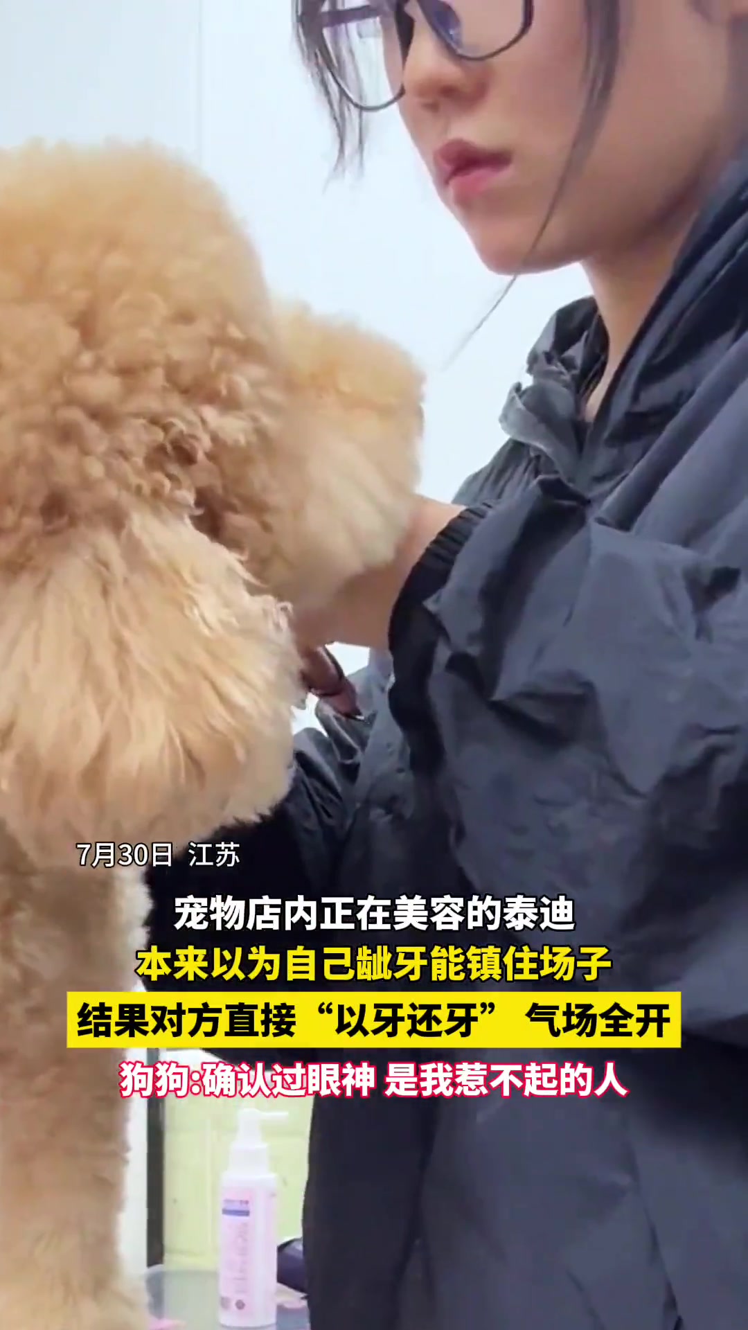 狗狗本来想耍耍小脾气，结果遇上硬茬子
