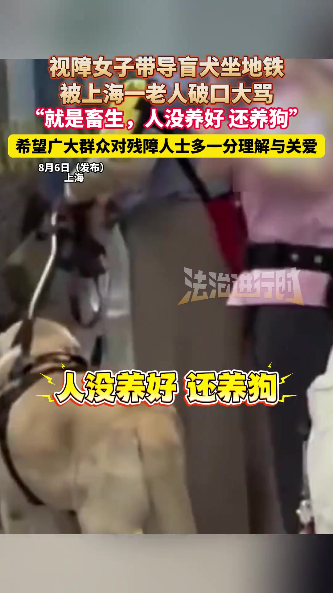 视障女子带导盲犬坐地铁，被上海一老人破口大骂
