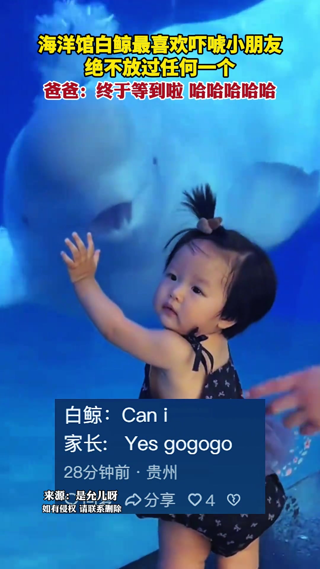 爸爸眼里没有对女儿的关心，全是对白鲸成功偷袭的开心