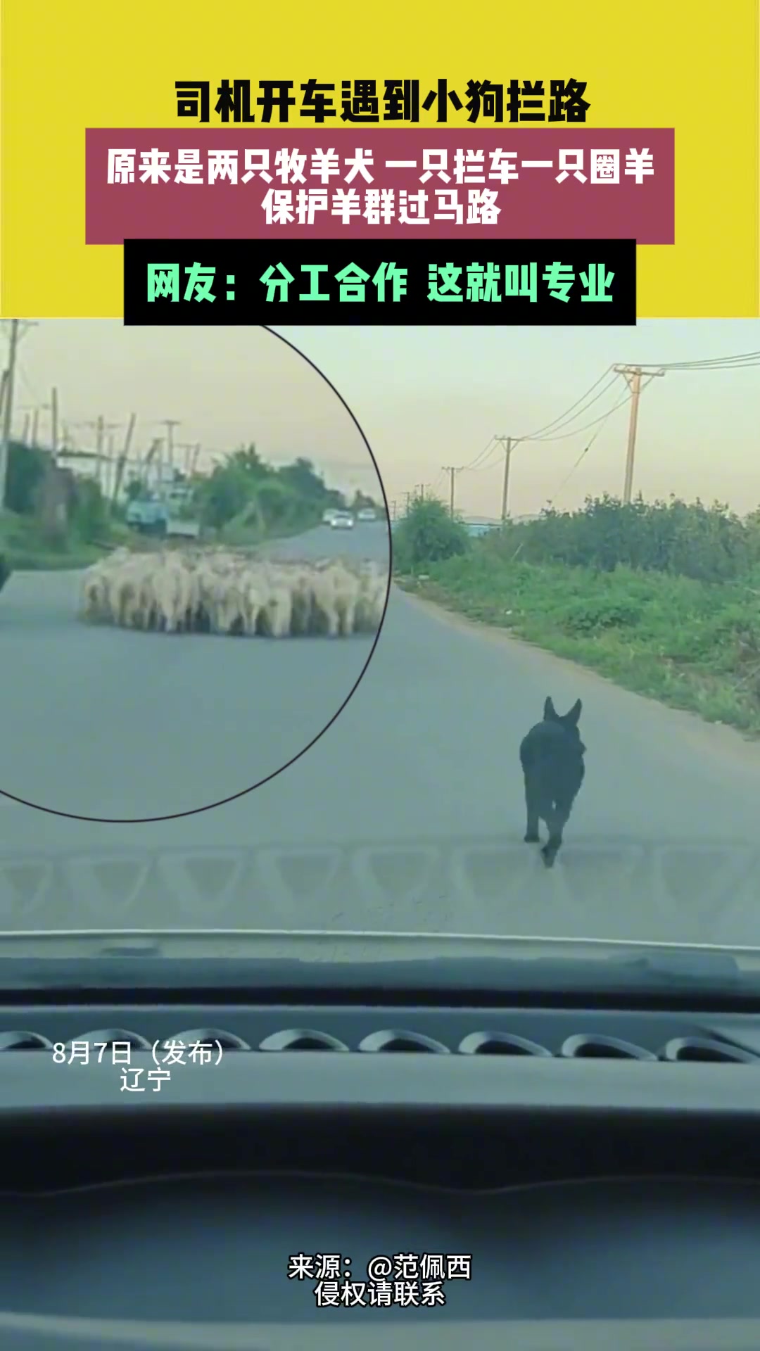 网友：分工明确，这就叫专业