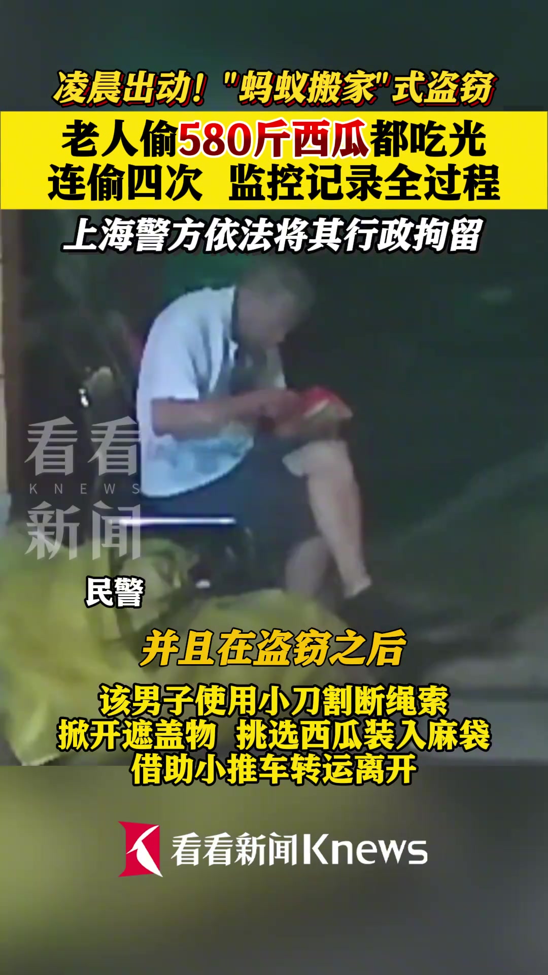 老人偷580斤西瓜都吃光