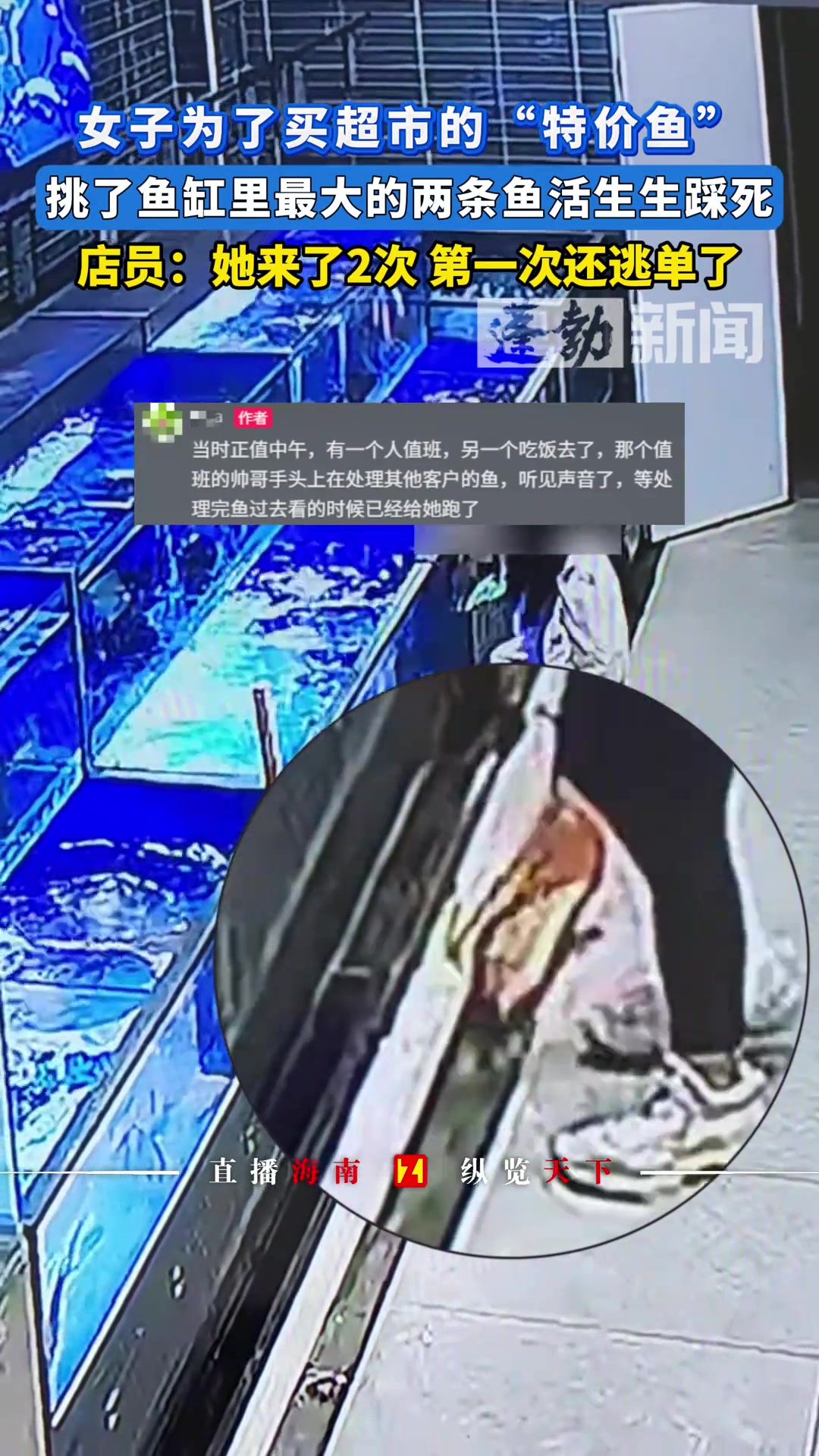 女子为了买超市的“特价鱼”挑了鱼缸里最大的两条鱼，活生生踩死