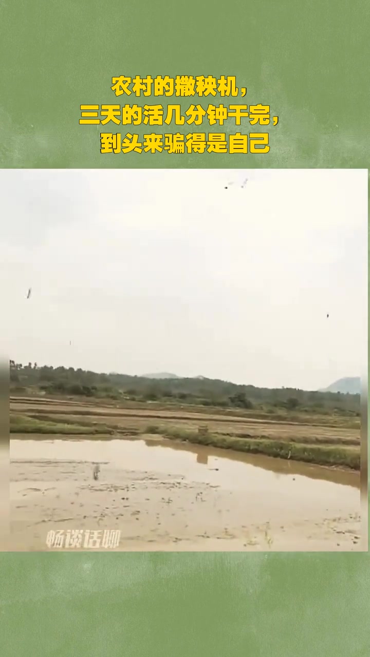 农村的撒秧机，三天的活几分钟干完，到头来骗得是自己