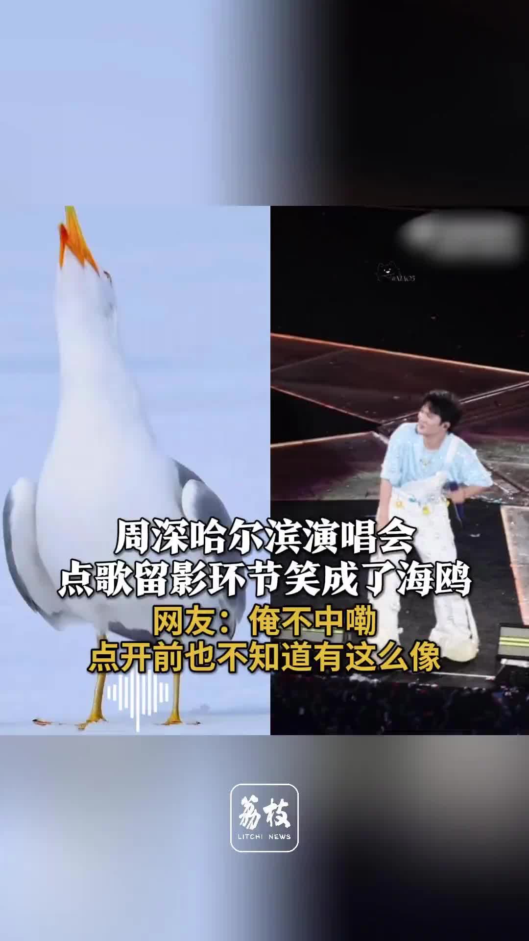俺不中嘞，点开前也不知道有这么像！