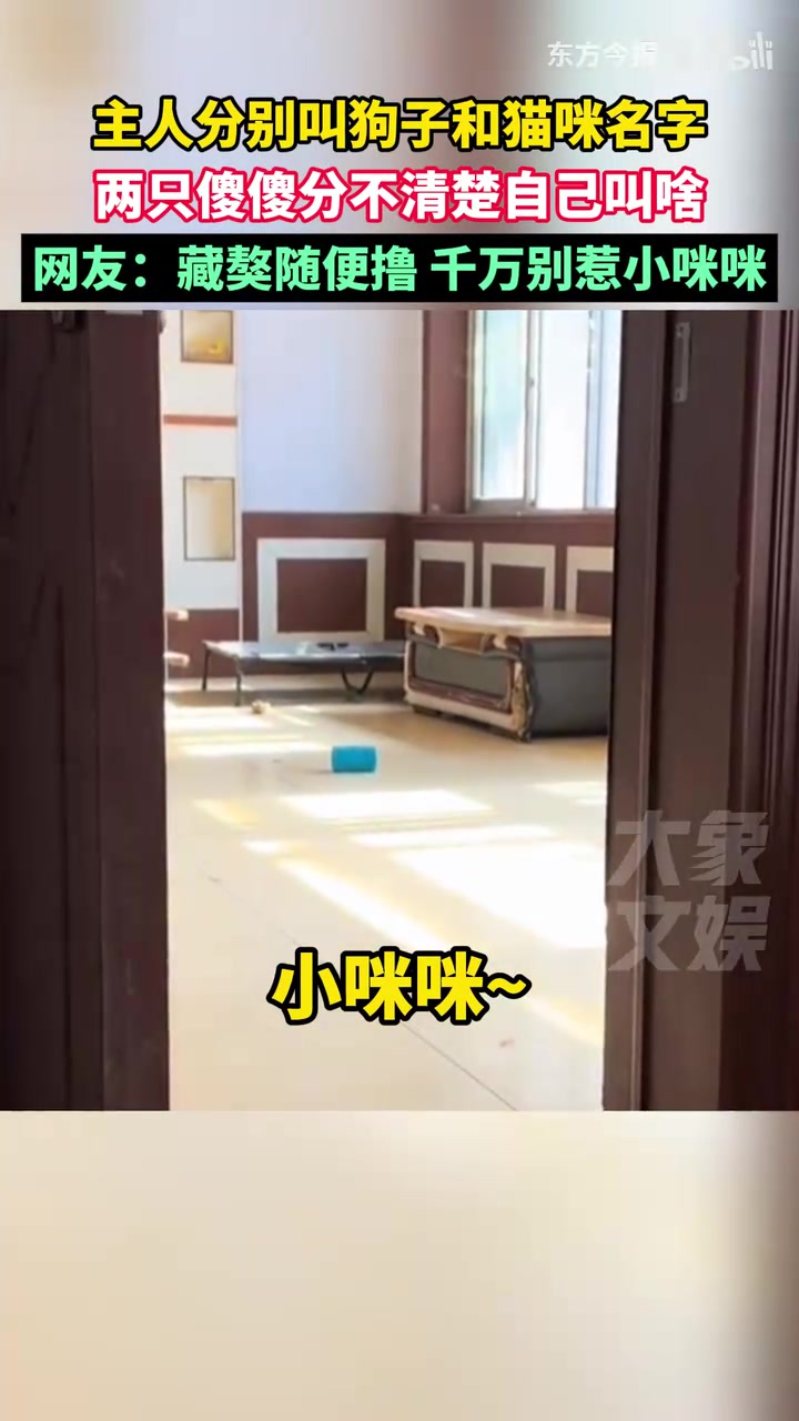 主人分別叫狗子和貓咪名字，兩只傻傻分不清楚自己叫啥