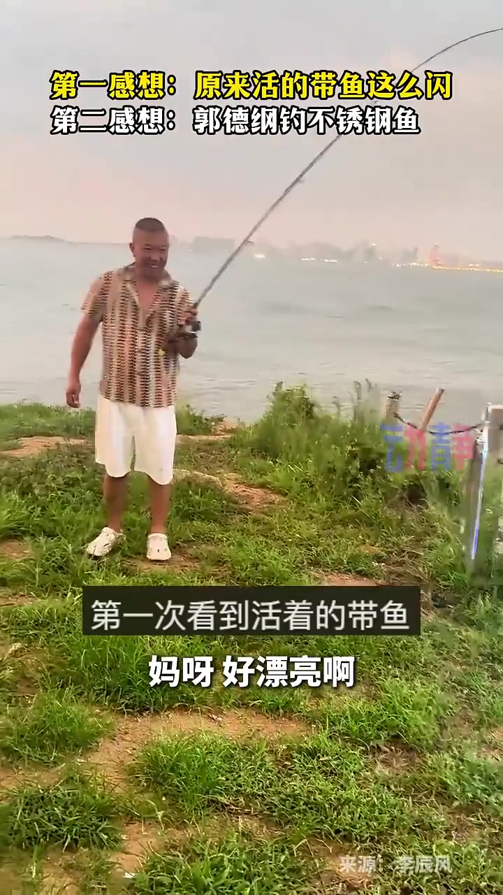 原來活的帶魚這么亮