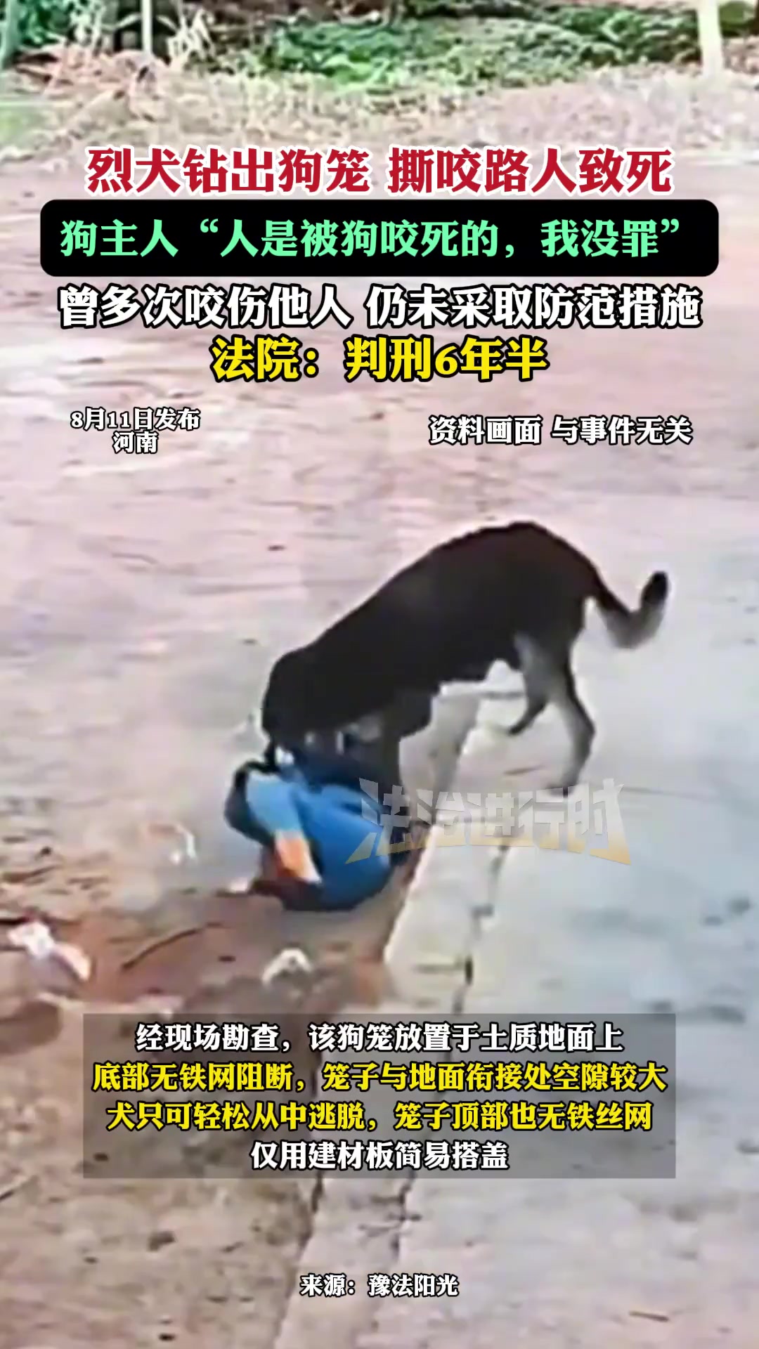 烈犬钻出狗笼撕咬路人致死，狗主人：人是被狗咬死的，我没罪