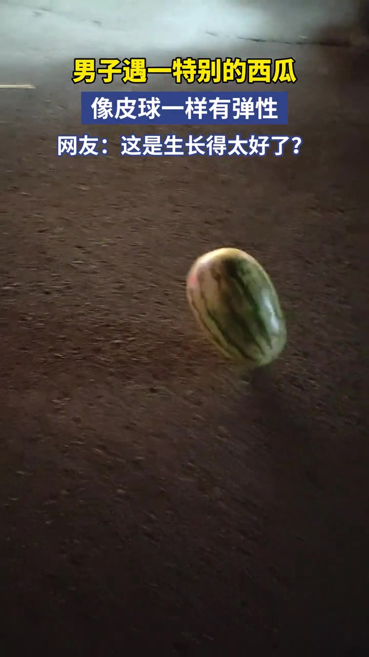 男子遇一特別的西瓜，像皮球一樣有彈性！！