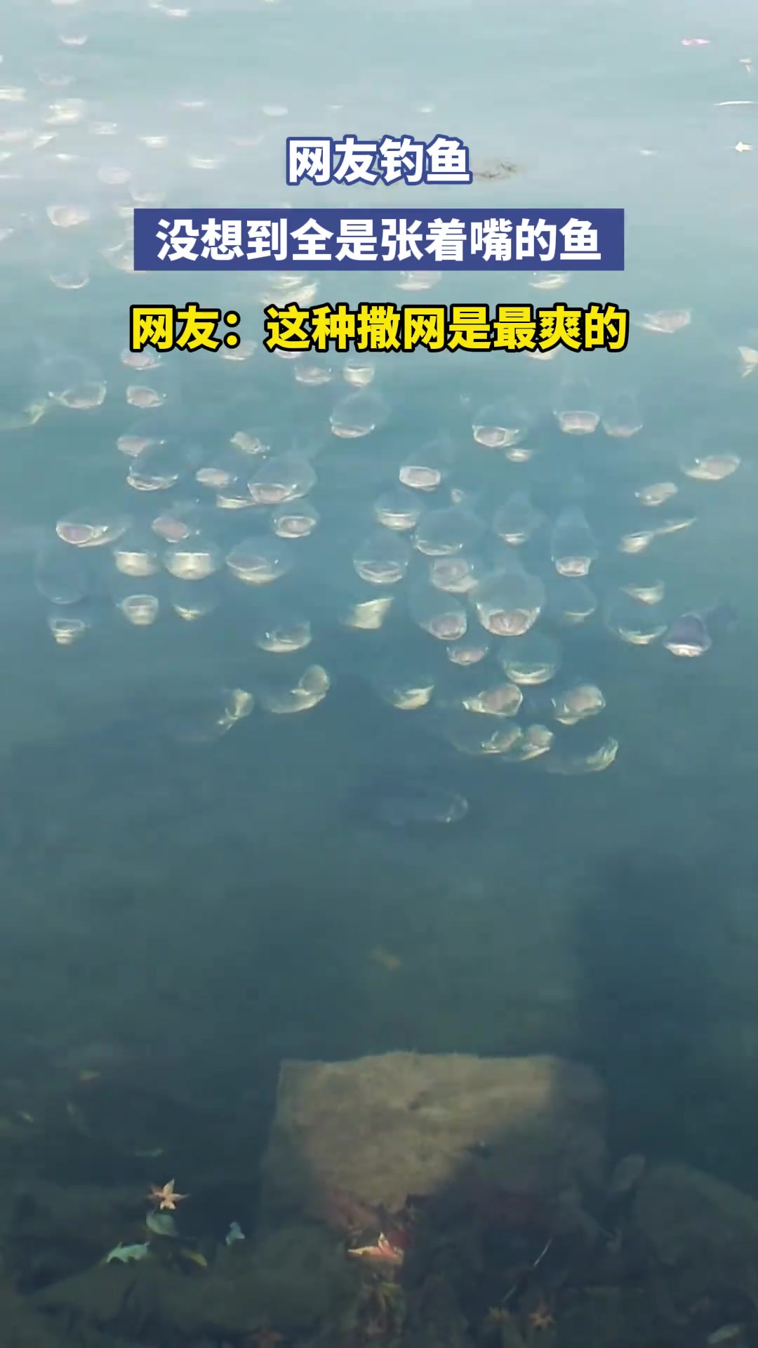 網(wǎng)友釣魚，沒想到全是張著嘴的魚
