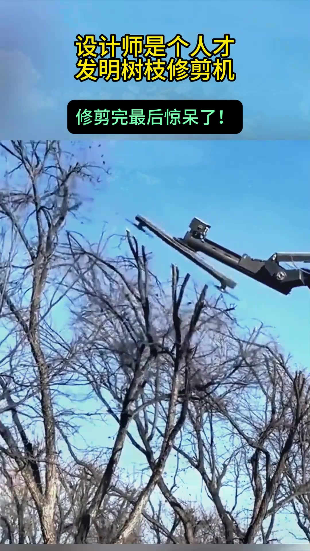设计师是个人才，发明树枝修剪机，修剪完最后惊呆了！