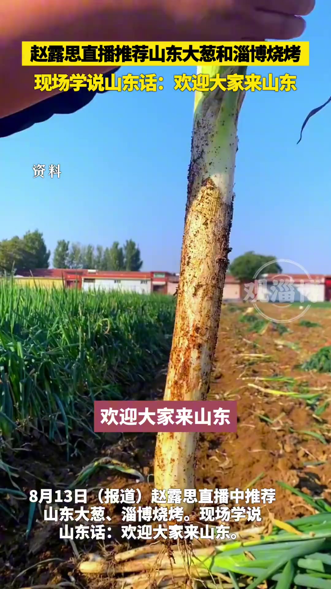 趙露思直播推薦山東大蔥和淄博燒烤，現(xiàn)場學(xué)說山東話