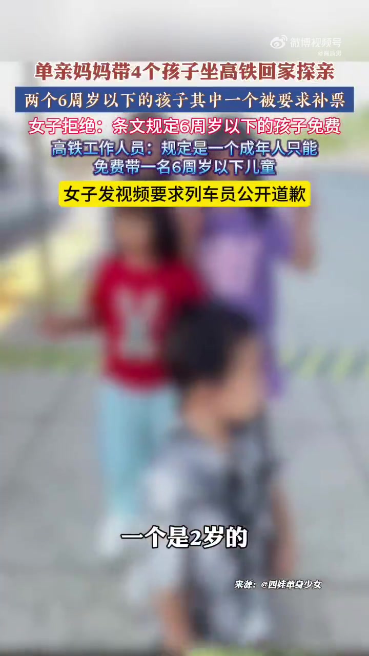 福建龙岩单亲妈妈带4孩乘高铁，因儿童补票起争执