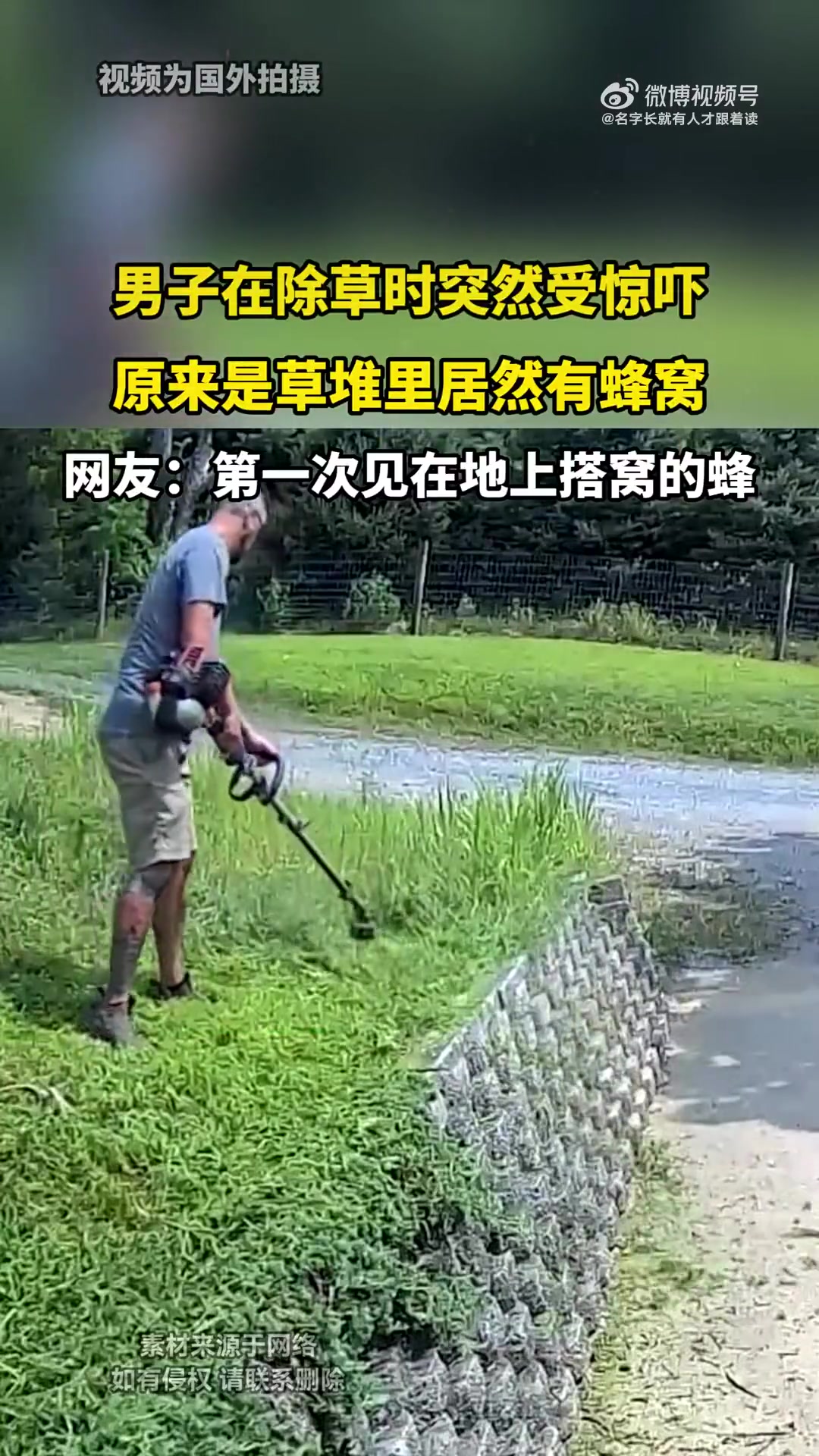 除草遇蜂窝男子受惊：紧急避险未受伤！