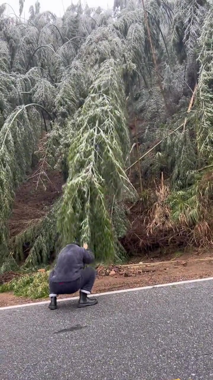 手机都快被自己踩碎了，还在摇呢！