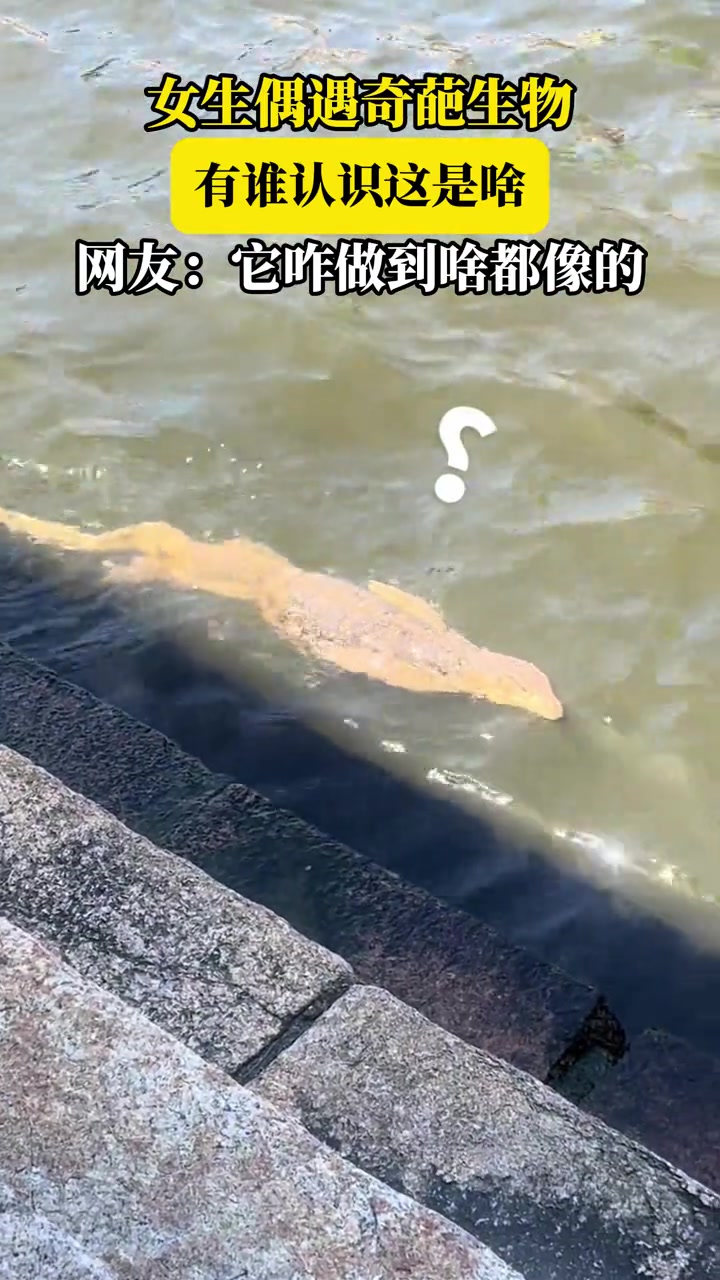 女生偶遇奇葩生物,有誰認識這是啥??！