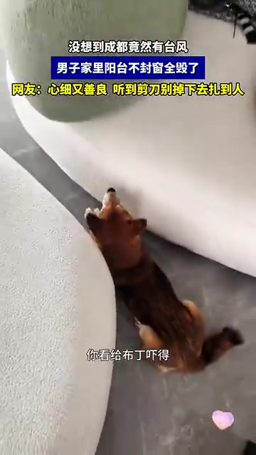 没想到成都竟然有台风，男子家里阳台不封窗全毁了！