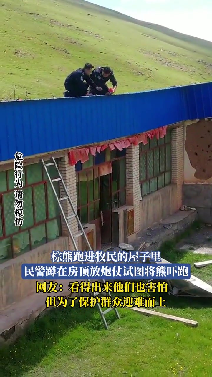 棕熊跑進牧民的屋子里，民警蹲在房頂放炮仗試圖將熊嚇跑