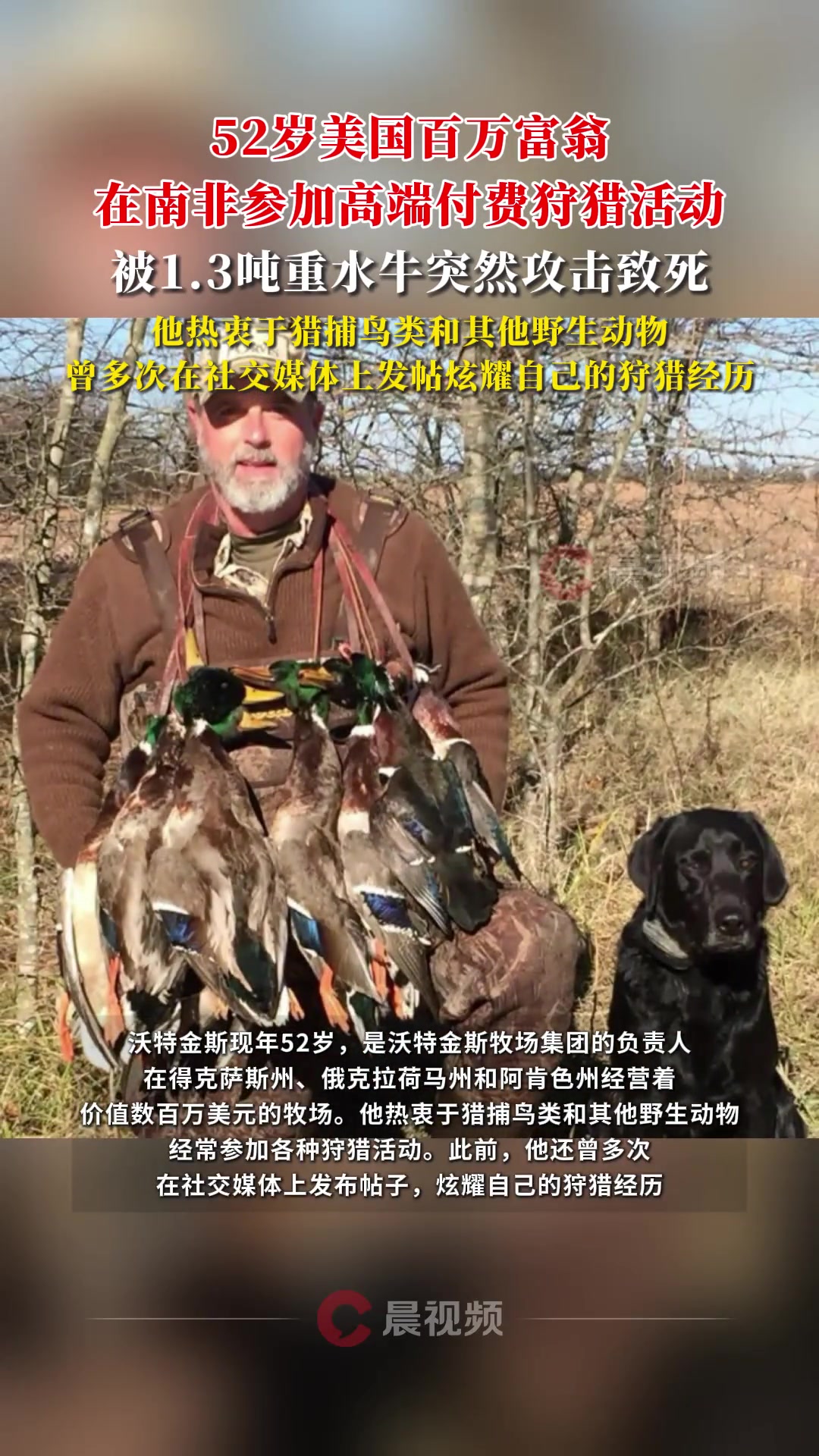 美国百万富翁在南非参加付费狩猎活动，被1.3吨重水牛攻击