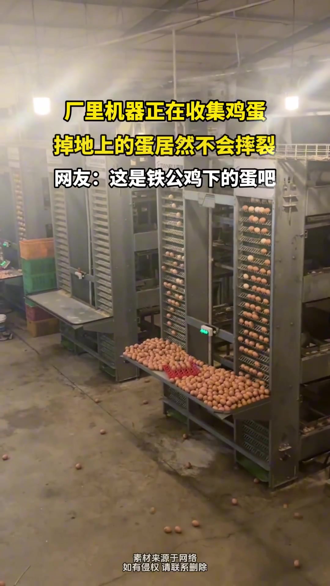 機(jī)器收蛋掉地，居然不裂