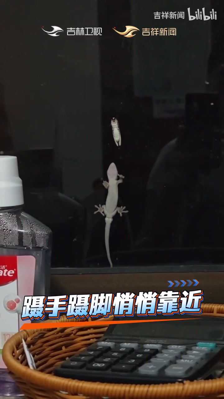 好消息：發(fā)現(xiàn)獵物了！壞消息：太緊張，手出汗了！