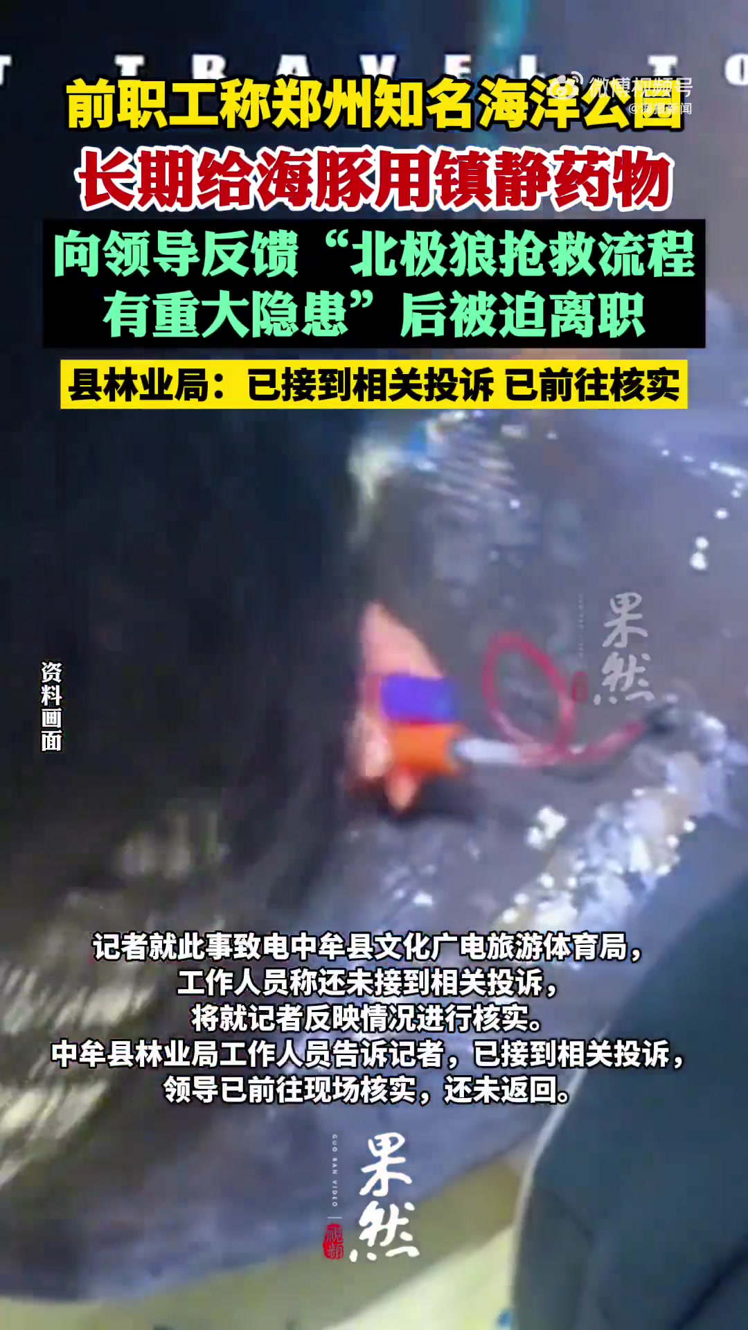 前獸醫(yī)曝海洋公園虐動物，致狼崽死亡