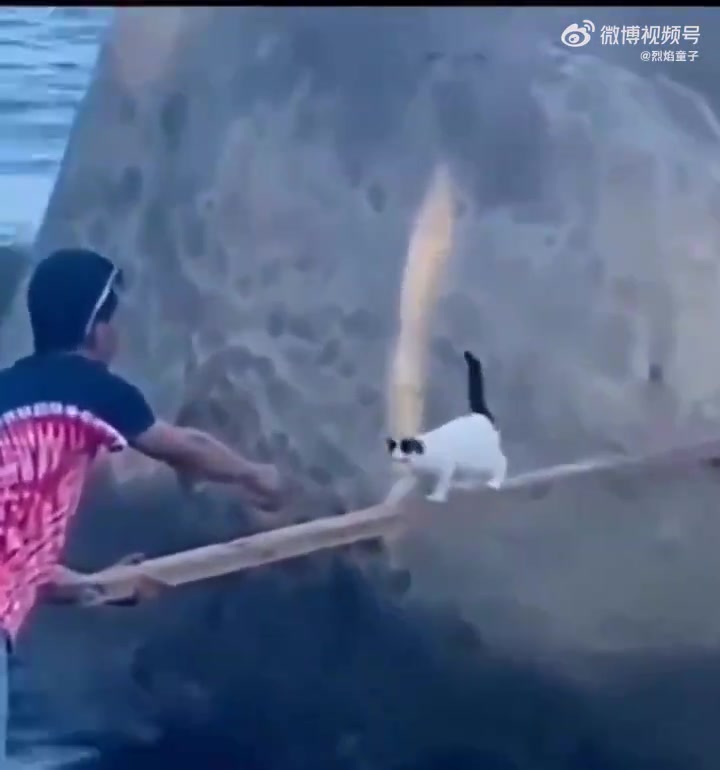 像极妈哭后拿扫帚打你，小时候闯祸样