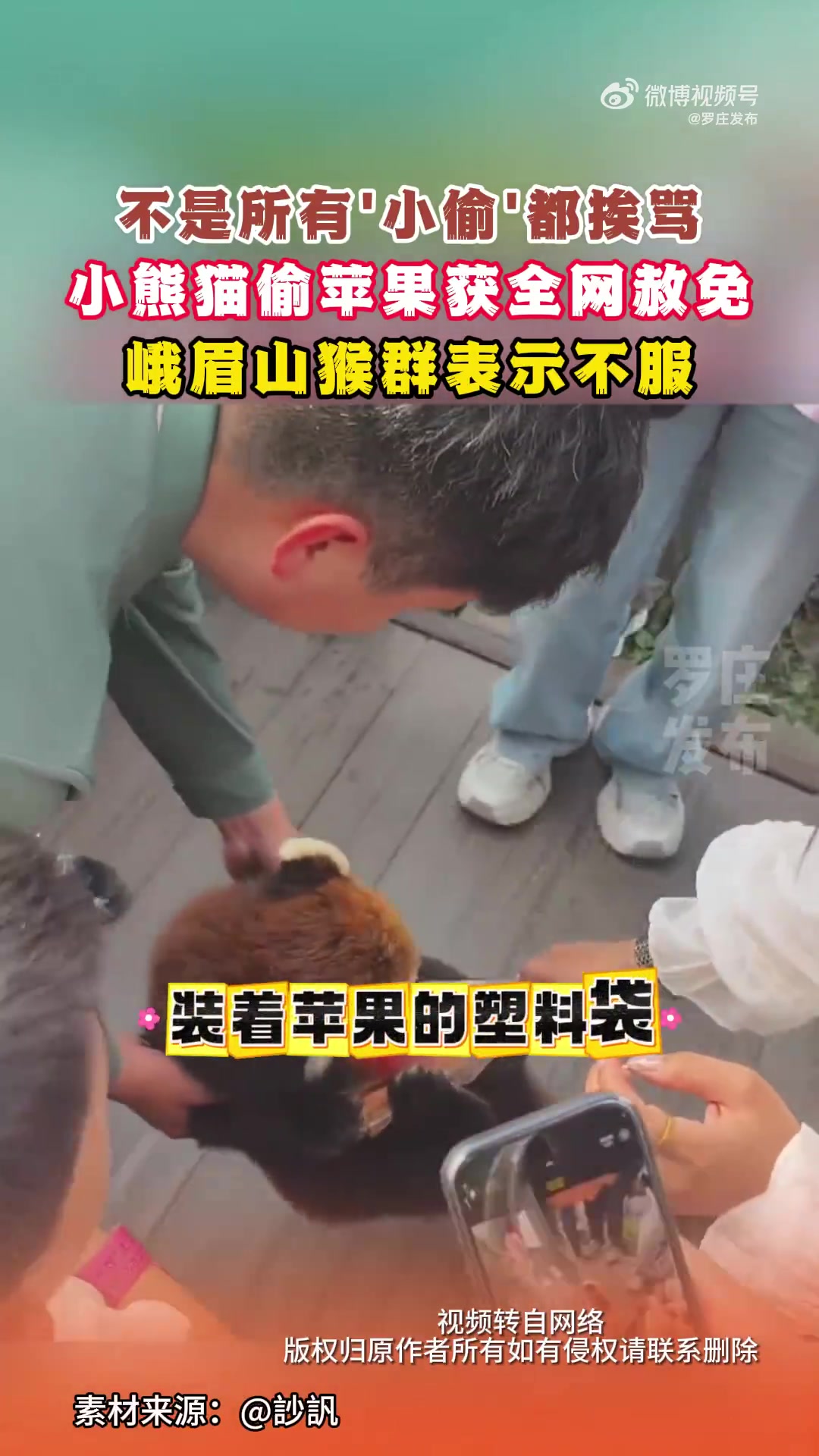 小熊猫偷苹果获赦免，峨眉山猴群不服