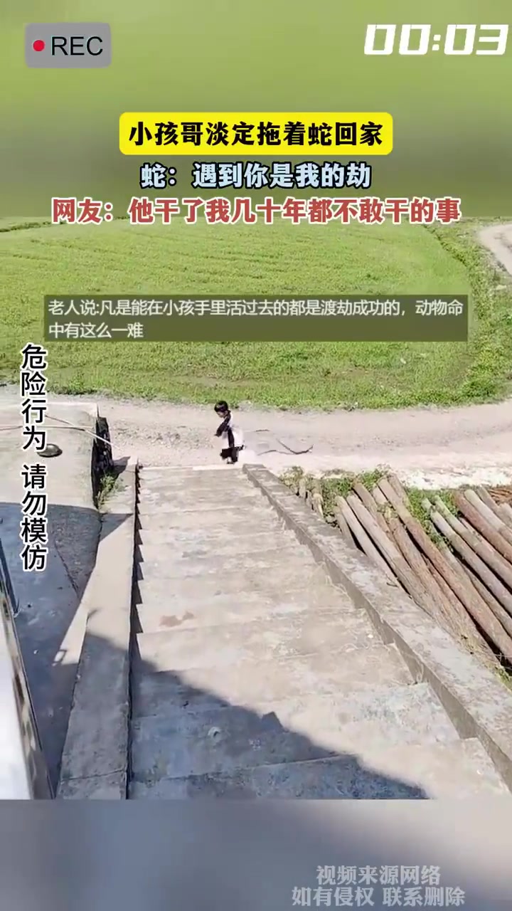 小孩哥淡定拖着蛇回家，蛇：遇到你是我的劫！