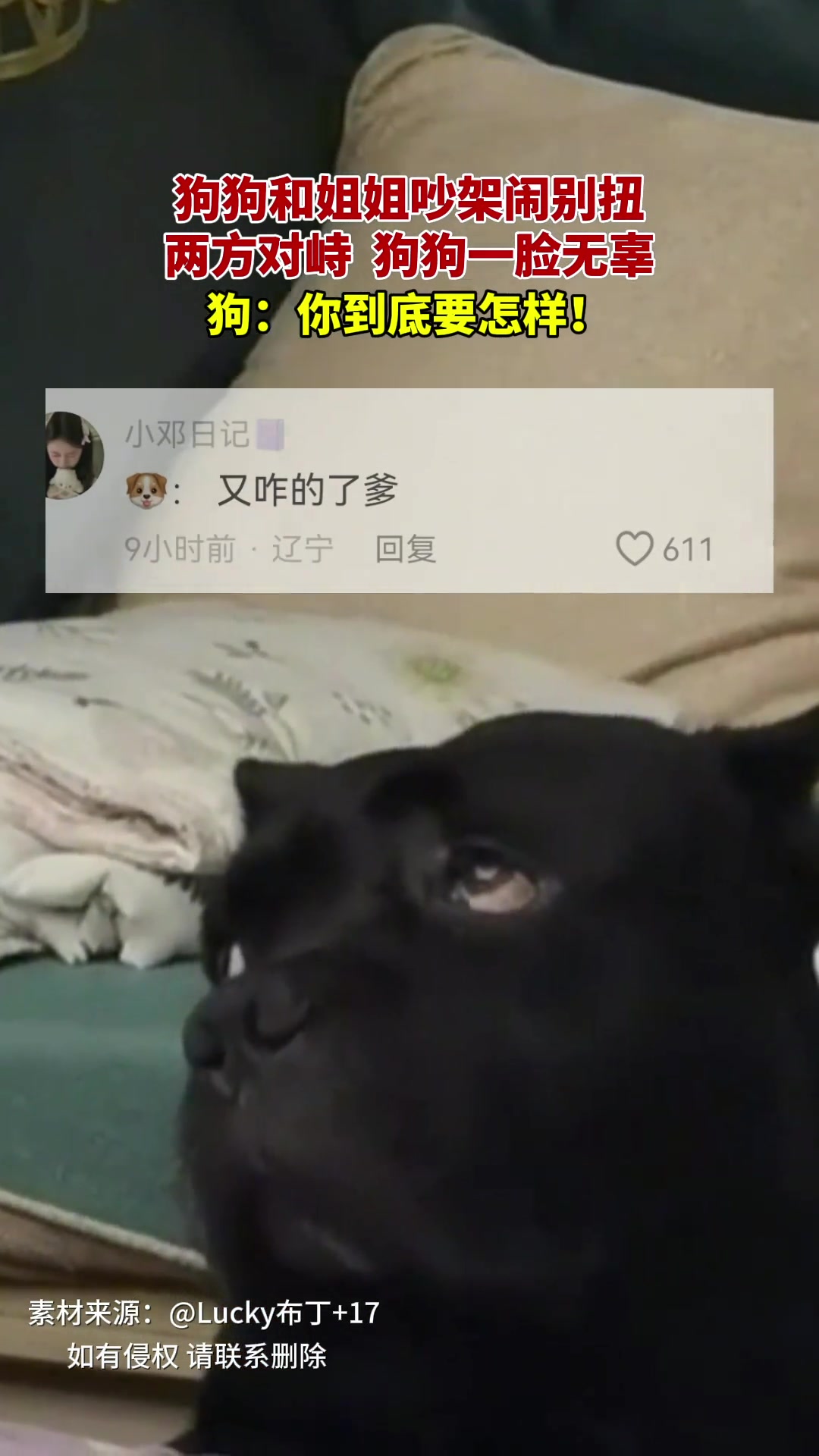 狗：你到底要怎样！