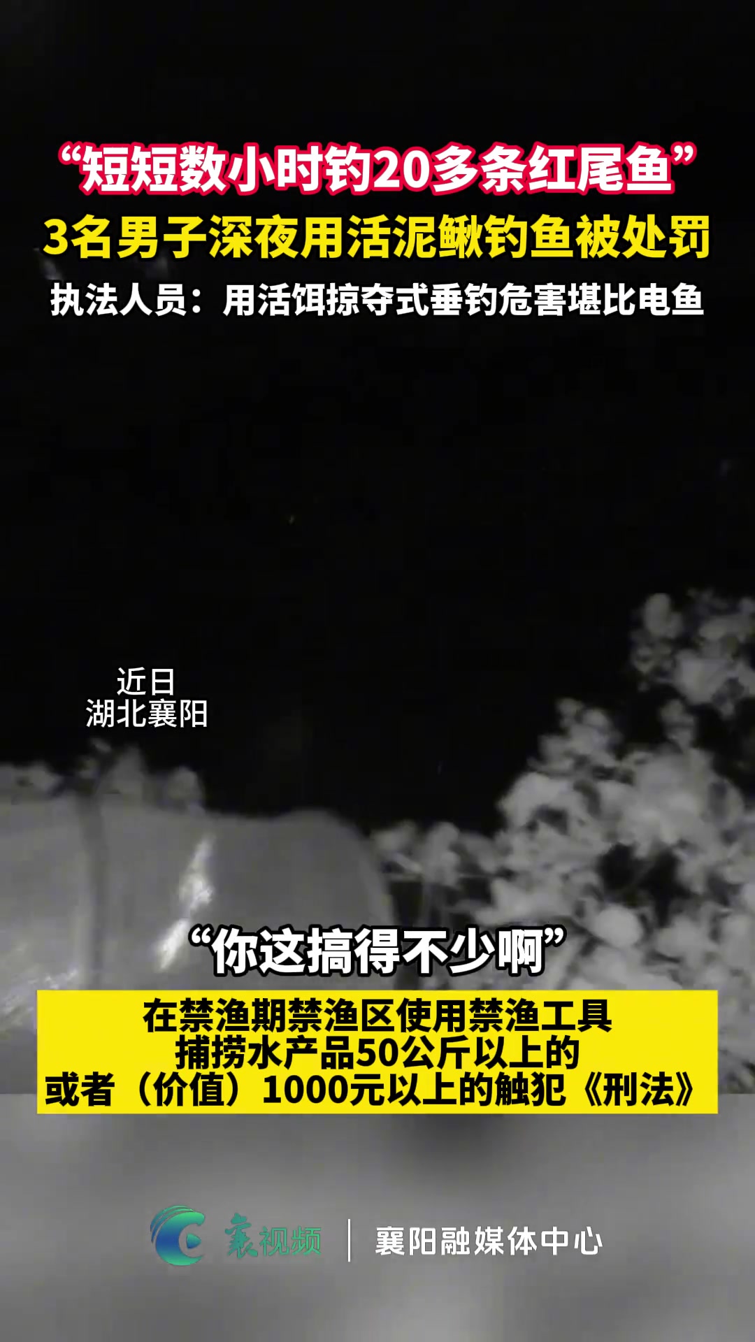 3名男子深夜用活泥鳅钓鱼被处罚“短短数小时钓20多条红尾鱼”