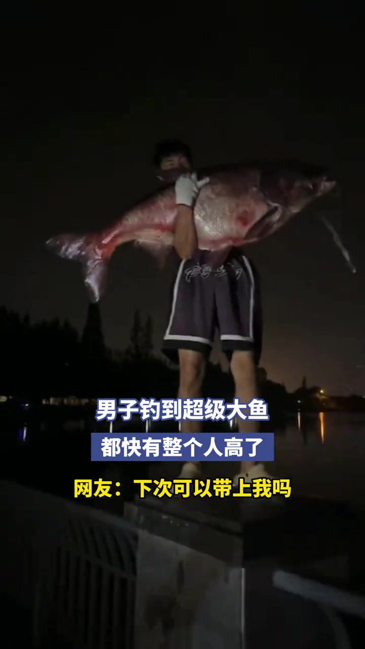 男子钓到超级大鱼，都快有整个人高了
