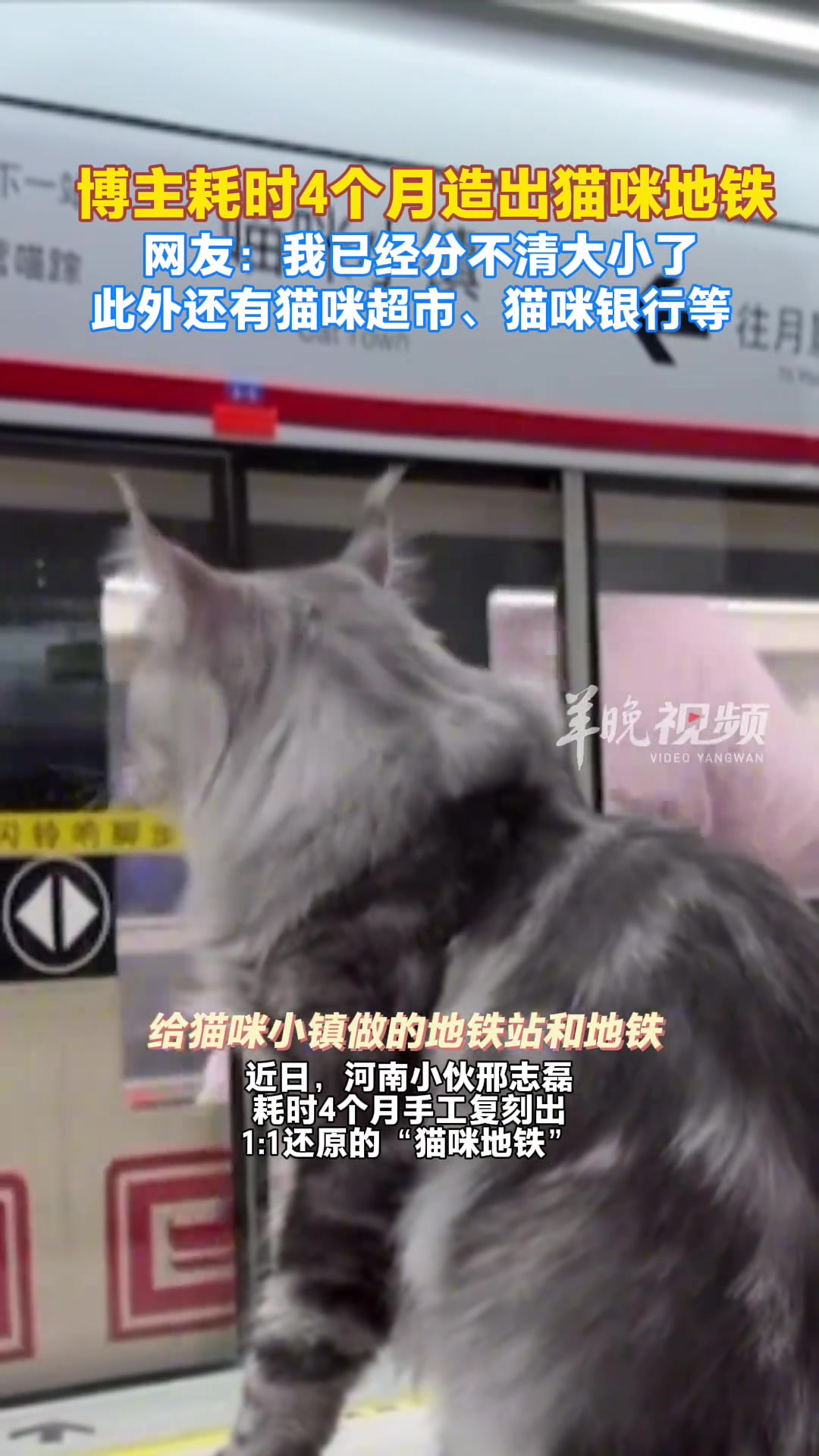 河南小伙耗时四个月手工复刻猫咪地铁站及列车